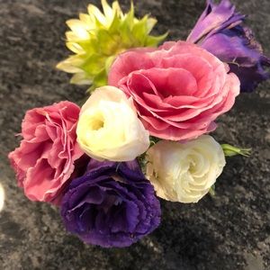 Meet your Posher, Susan